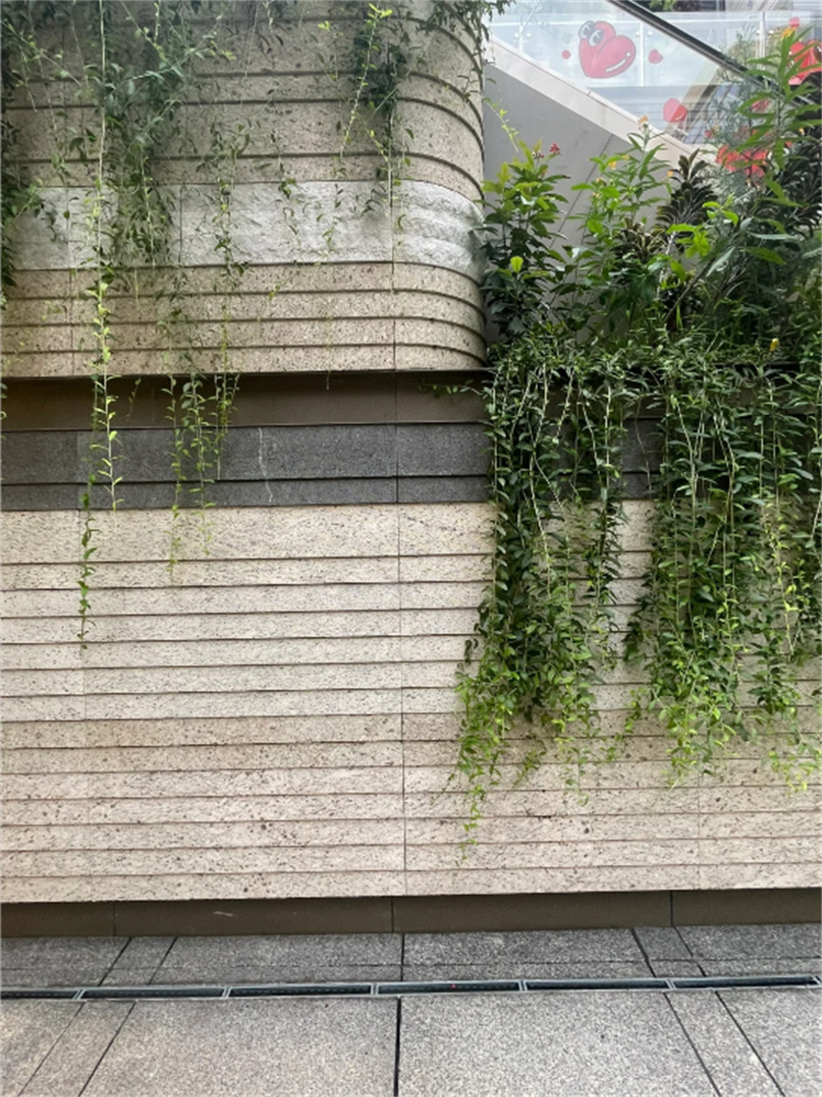 案例展示